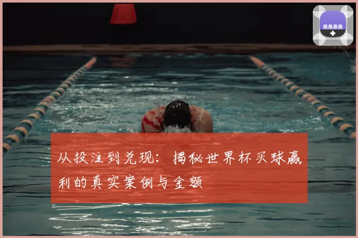 从投注到兑现：揭秘世界杯买球赢利的真实案例与金额