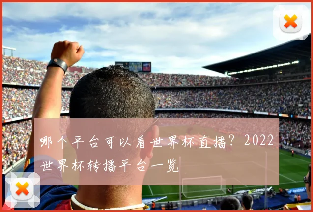 哪个平台可以看世界杯直播？2022世界杯转播平台一览