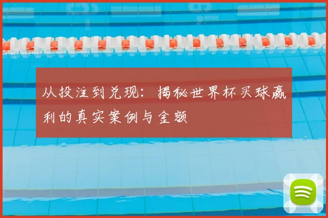 从投注到兑现：揭秘世界杯买球赢利的真实案例与金额