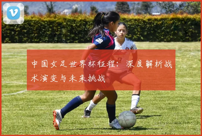 中国女足世界杯征程：深度解析战术演变与未来挑战