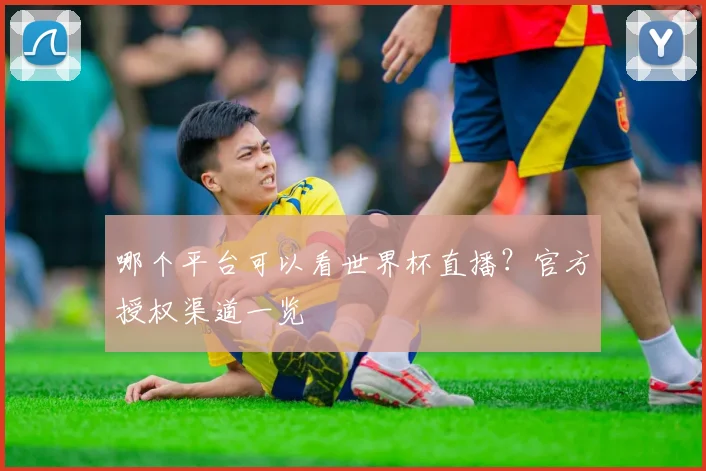 哪个平台可以看世界杯直播？官方授权渠道一览