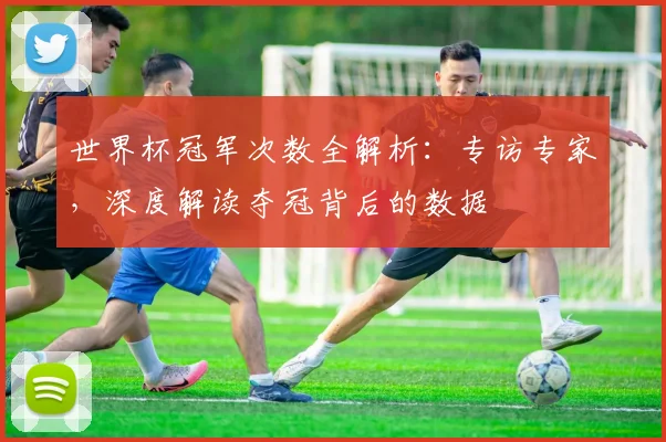 世界杯冠军次数全解析：专访专家，深度解读夺冠背后的数据