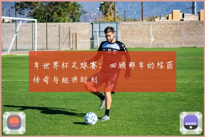 年世界杯足球赛：回顾那年的绿茵传奇与经典时刻